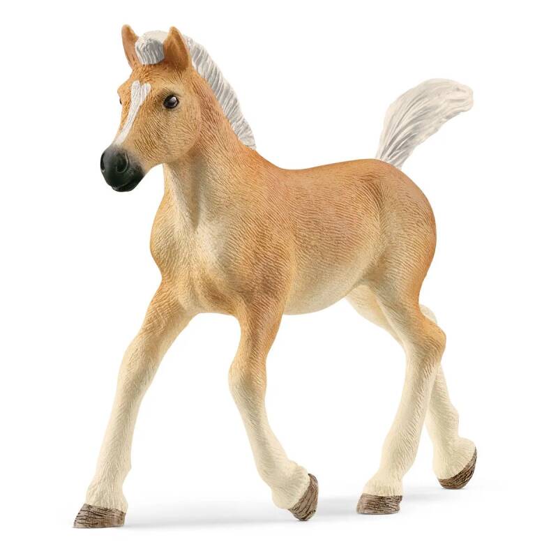 Schleich haflingerveulen 13951