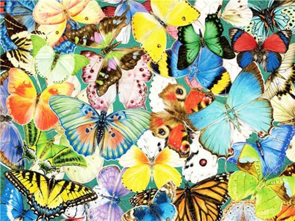 X-f6.2 gd75012 diamond painting set butterflies 40x30