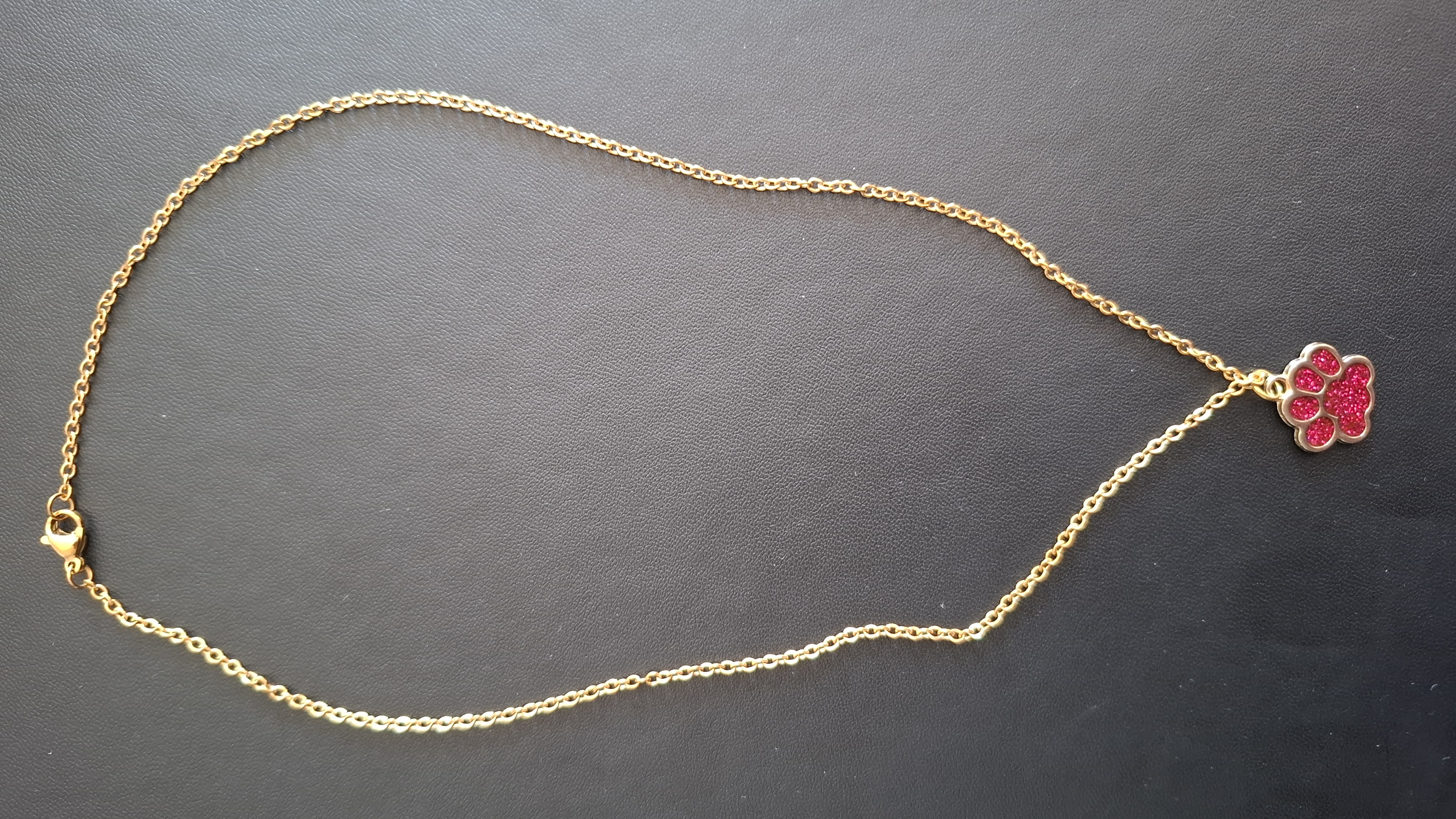 ketting in gouden kleur met rood pootje