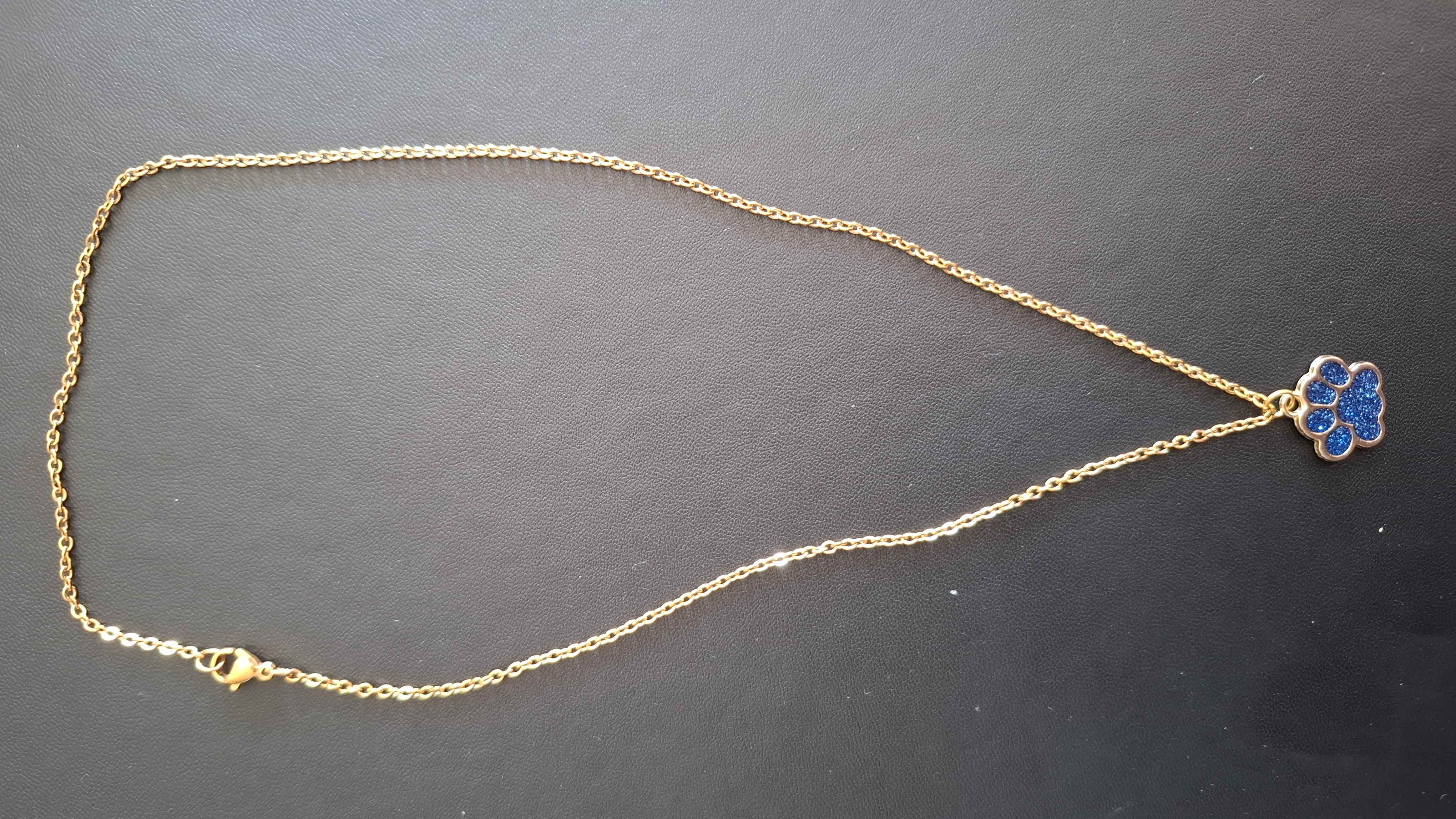 ketting in gouden kleur met blauw pootje