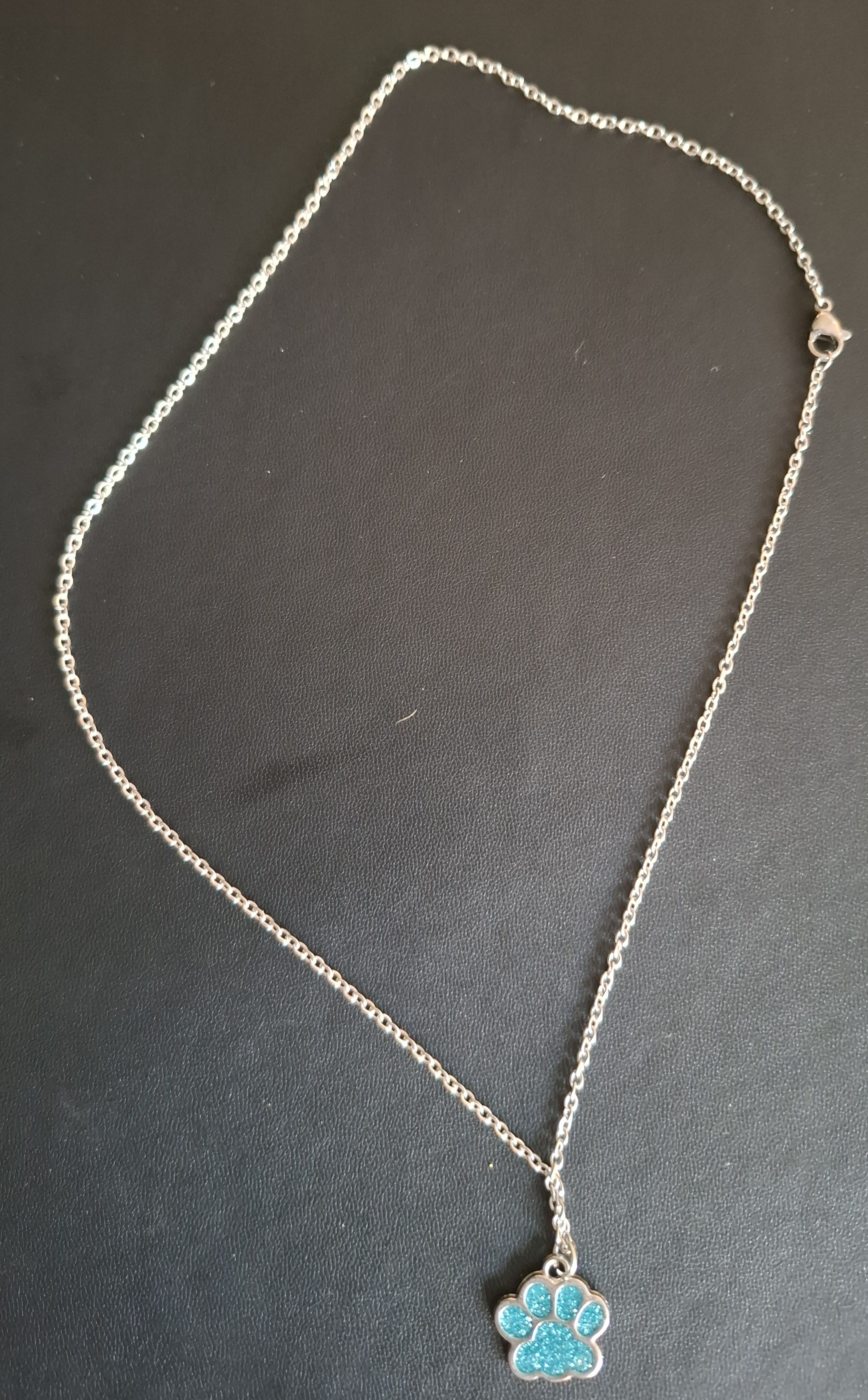 ketting in zilveren kleur met licht blauw pootje