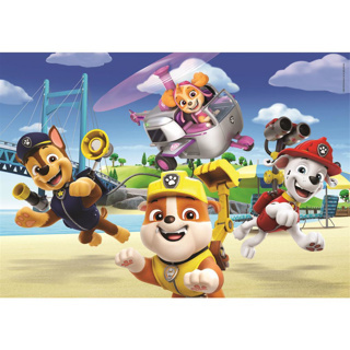 Paw patrol puzzel 2 x 60 stukjes