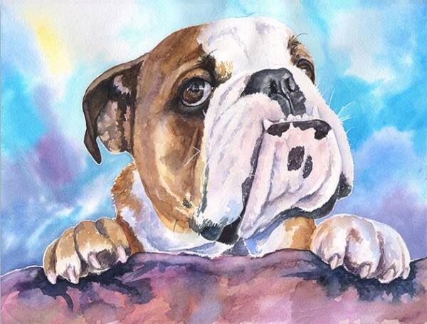 R-j8.2 diamond painting set dog 40x50