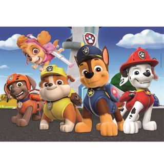Paw patrol puzzel 2 x 60 stukjes