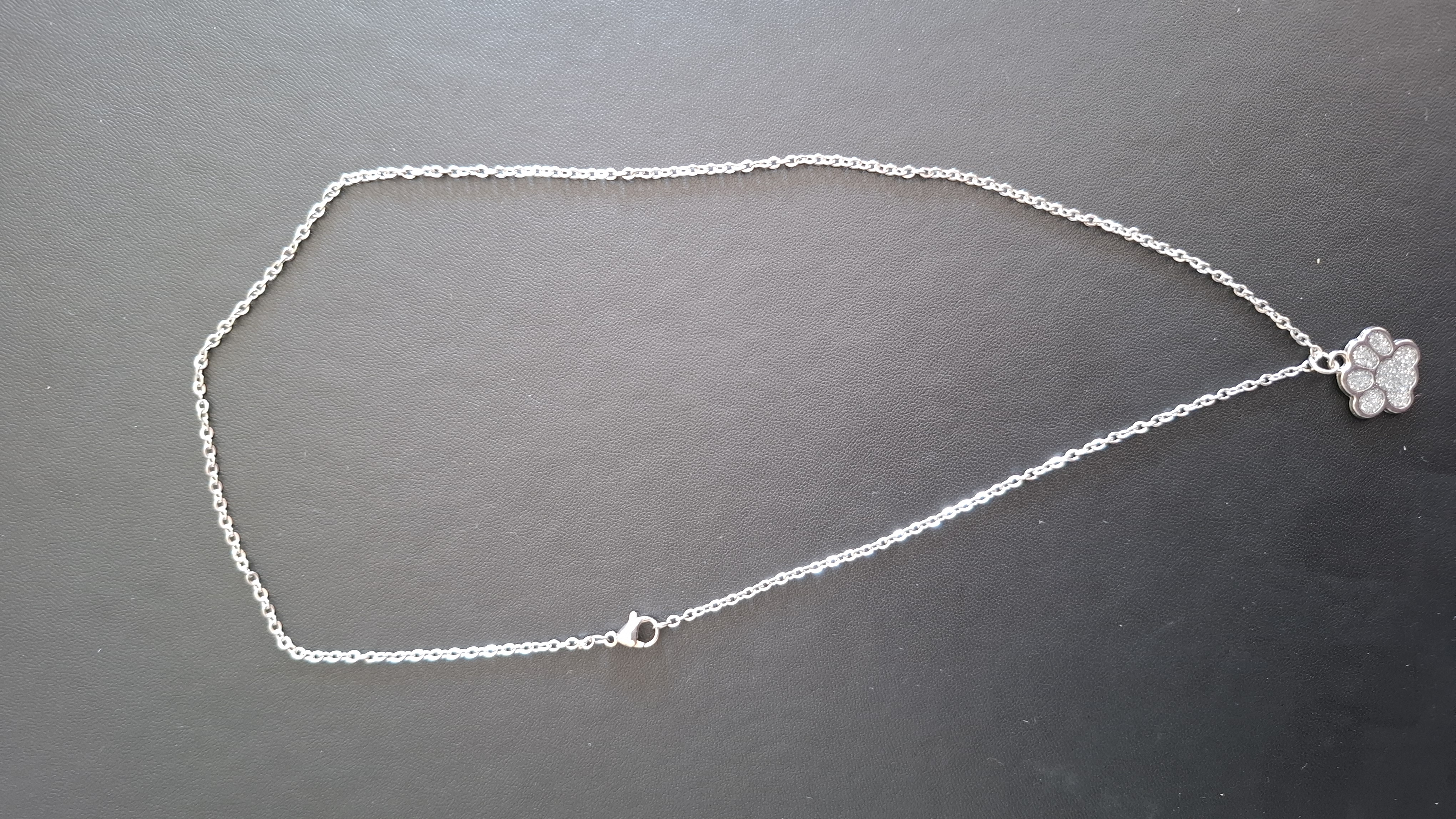 ketting in zilveren kleur met zilver pootje