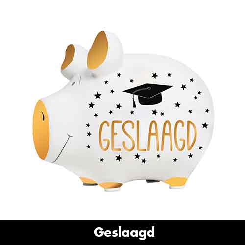 Spaarpot "geslaagd" ( 21 )