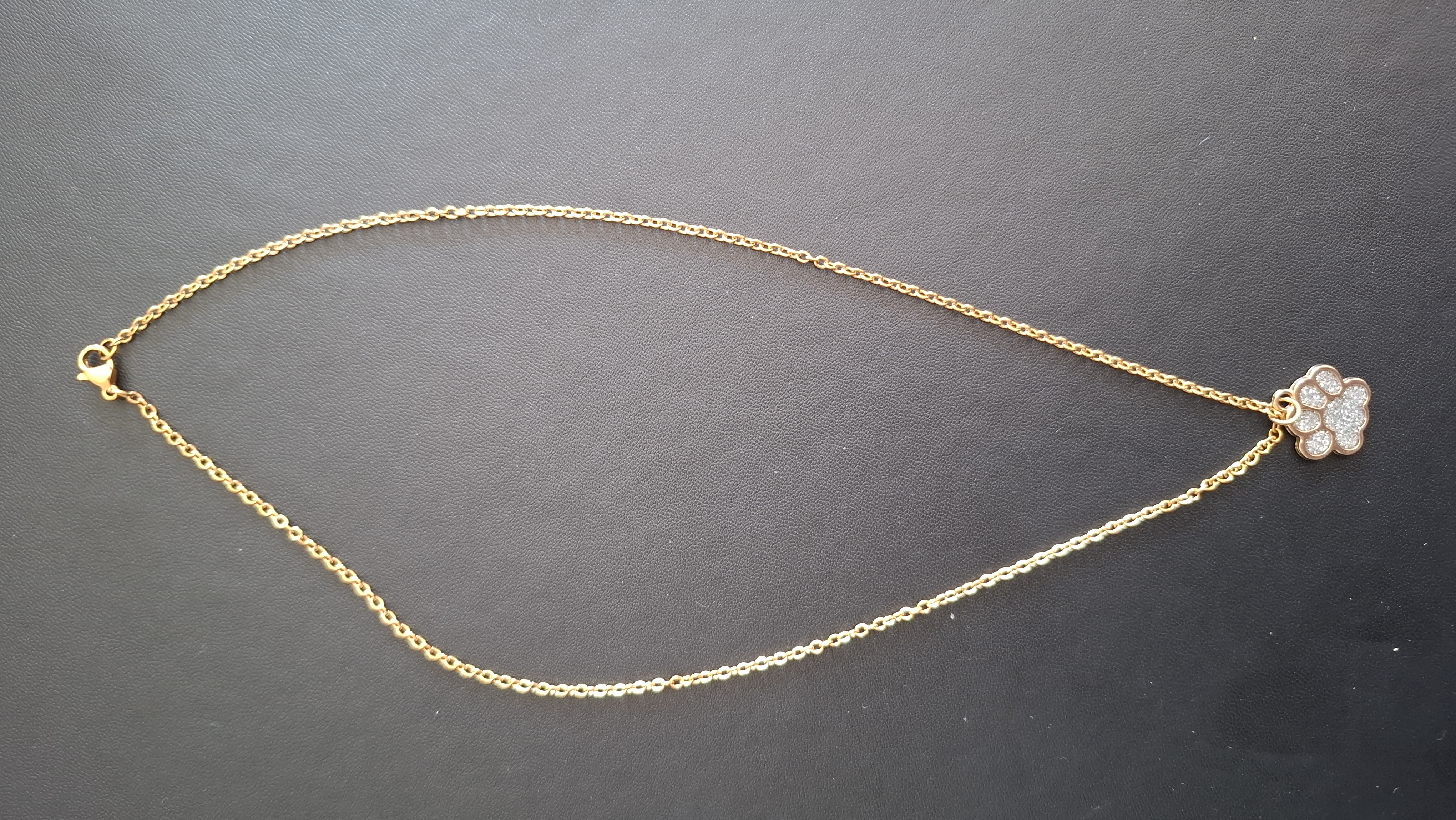ketting in gouden kleur met zilver pootje