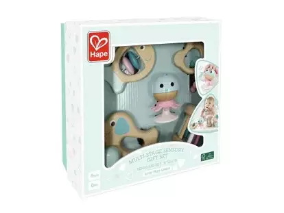 Hape multi-stage sensory gift set