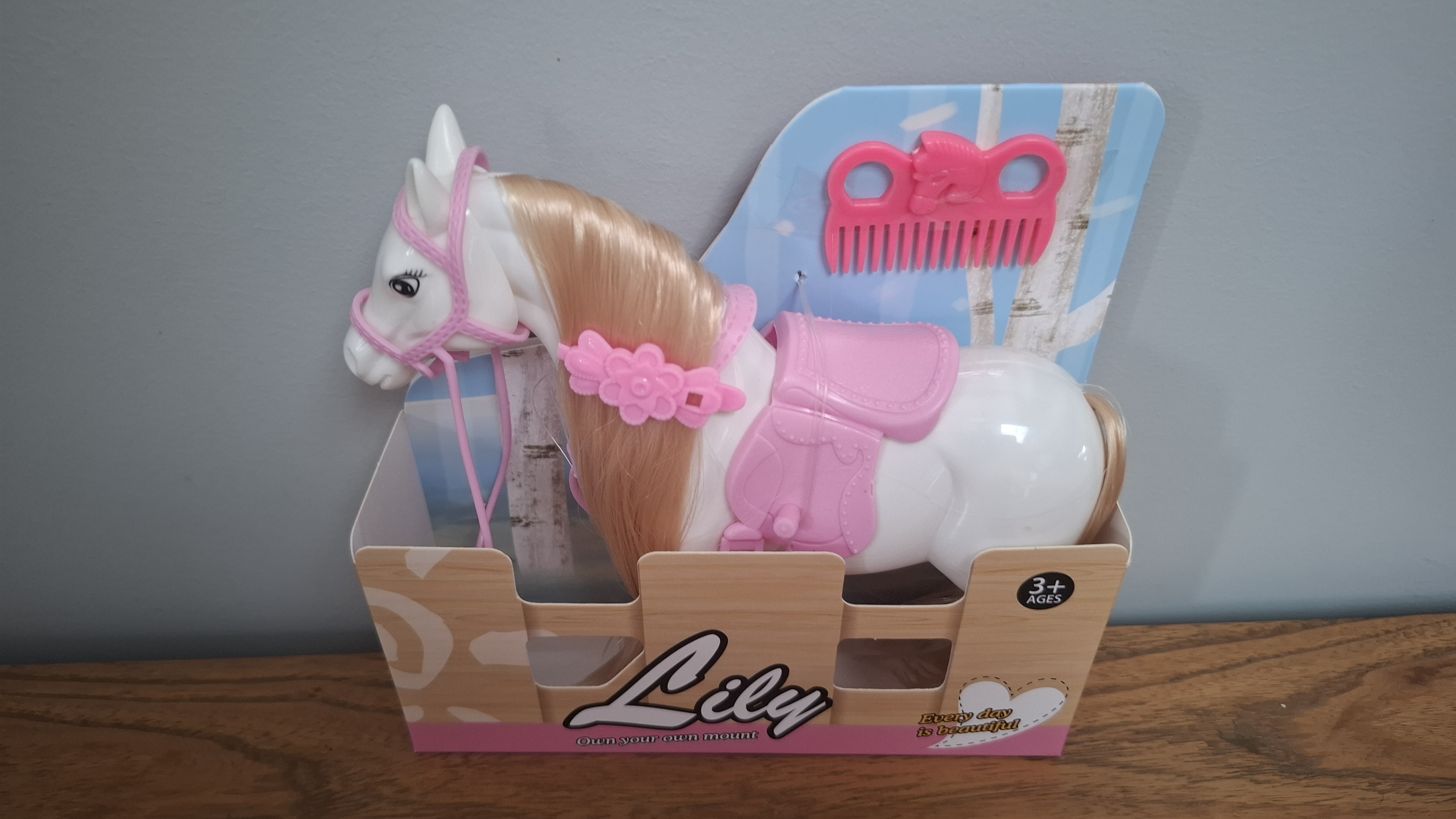 Pony manen kammen met accessoires