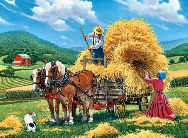 Diamond Painting 45x35cm Boerenkar